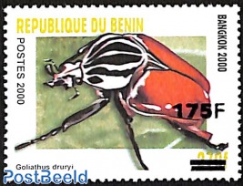 Goliath beetle, Goliathus druryi, overprint