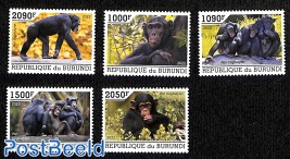 Chimpanzees, 5v