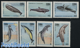 Whales & Dolphins 7v