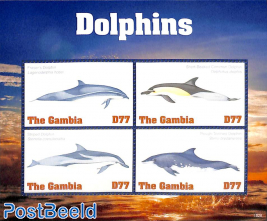 Dolphins 4v m/s