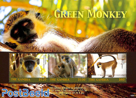 Green Monkey 3v m/s