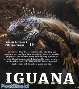 Iguana s/s