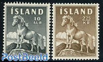 Iceland pony 2v