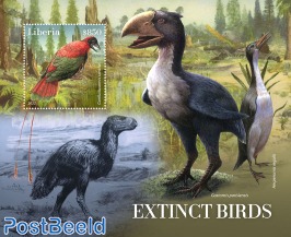 Extinct birds