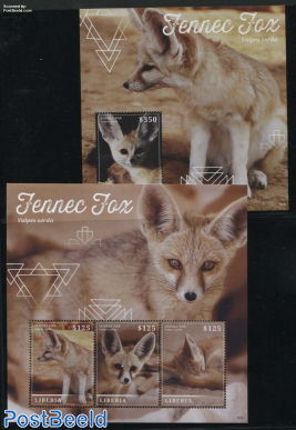 Fennec Fox 2 s/s