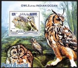 owls of the indian ocean