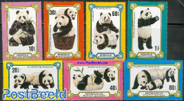 Panda Bears 7v