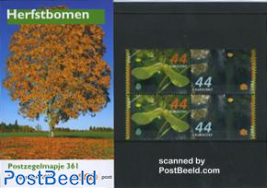 Trees in autumn presentation pack 361