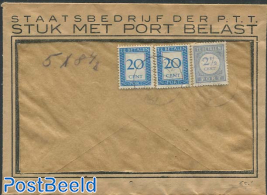 Postage due 2x 20 c and 2.5 cent