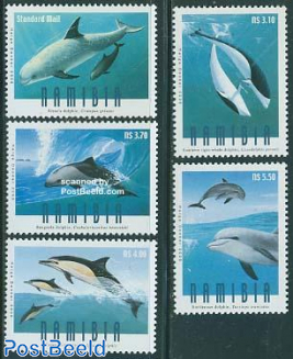 Dolphins 5v