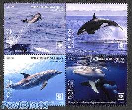 Whales & Dolphins 4v [+]
