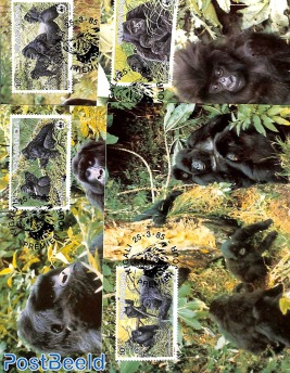WWF, mountain gorilla 4v