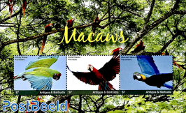 Macaws 3v m/s