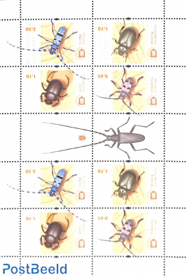 Insects m/s (with 2 sets)