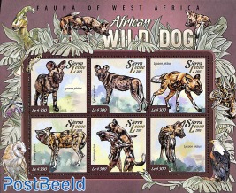 Wild dogs