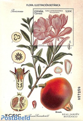 Botanical illustrations s/s