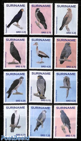 Birds 12v