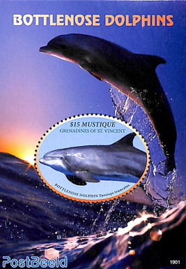 Mustique, Bottlenose Dolphins s/s