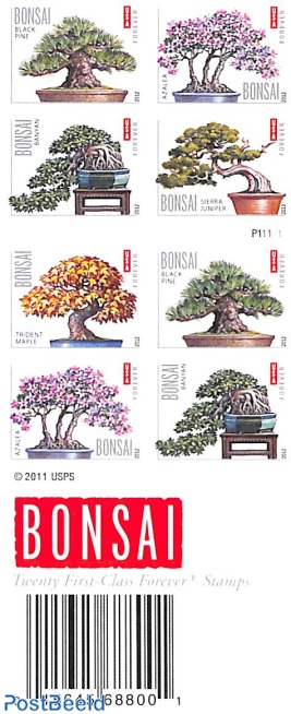 Bonsai booklet s-a (double sided)