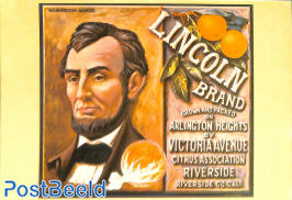 Lincoln Brand