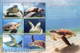 Green Sea Turtles 6v m/s