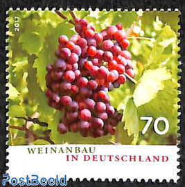 Winery in Germany 1v