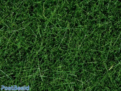 Wild Grass ~ Dark Green 6mm (50g)