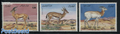 Gazelles 3v