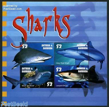 Sharks 4v m/s