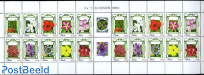 Flowers m/s (with 2 sets)