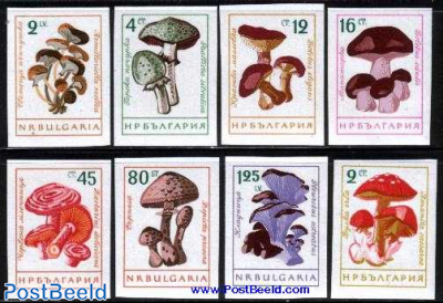 1991 Funghi Prophila Collection Bulgaria 3886-3891 Completa Edizione Piante / Funghi Francobolli per i Collezionisti 