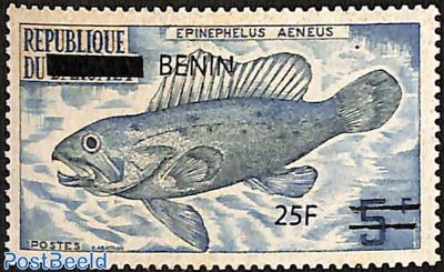 epinephelus aeneus, fish, overprint