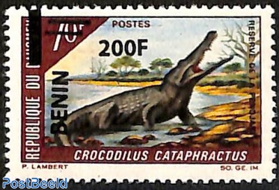 crocodile cataphractus, overprint