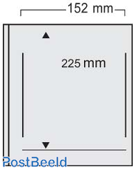 10 fogli compact EDC 1 tasca(223x165)