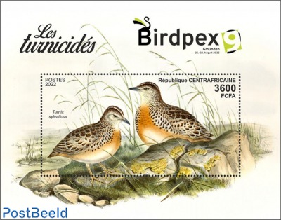 Birdpex buttonquails