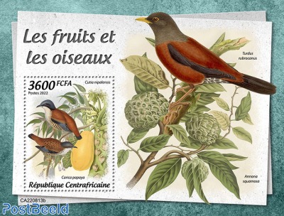 Fruits and birds