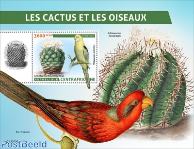 Cactus and birds