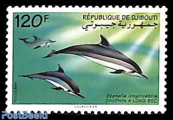 Dolphin 1v