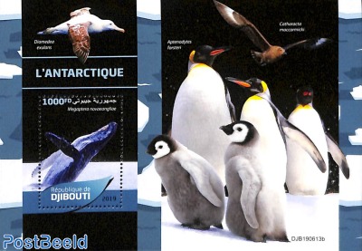 Antarctic animals s/s