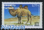 UNESCO, Camel 1v