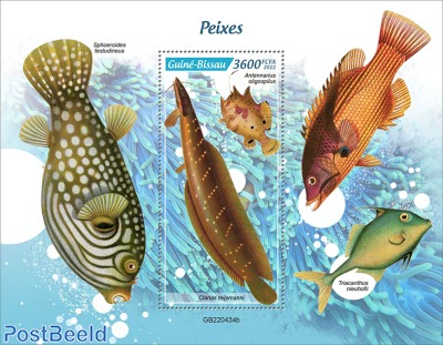 fishes