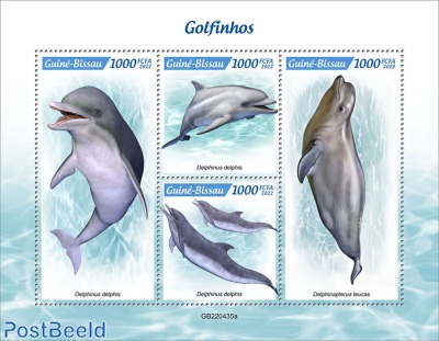 Dolphins
