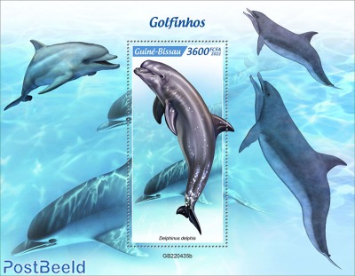 Dolphins