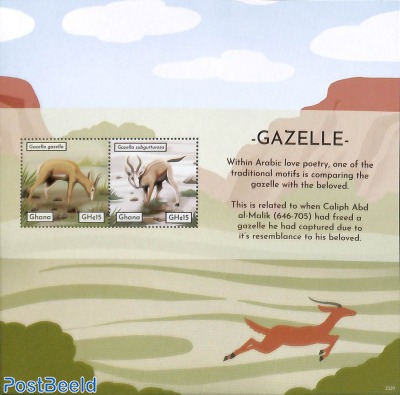 Gazelle 2v m/s