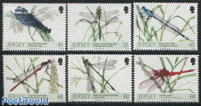 Dragonflies 6v