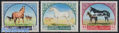 Arab horses 3v