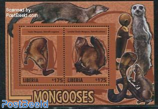 Mongoose s/s