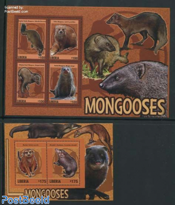 Mongooses 2 s/s