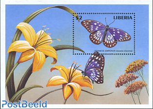 Butterflies s/s, Sasakia charonda