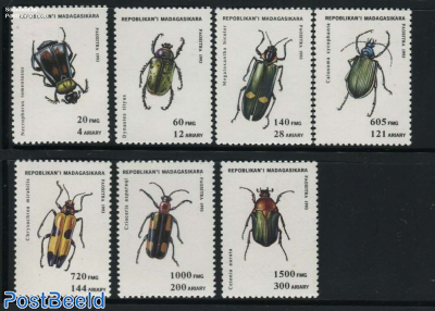 Beetles 7v
